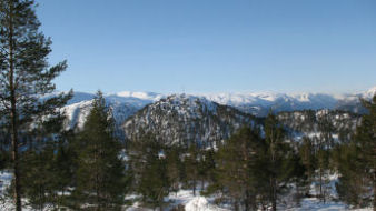 fra feltet